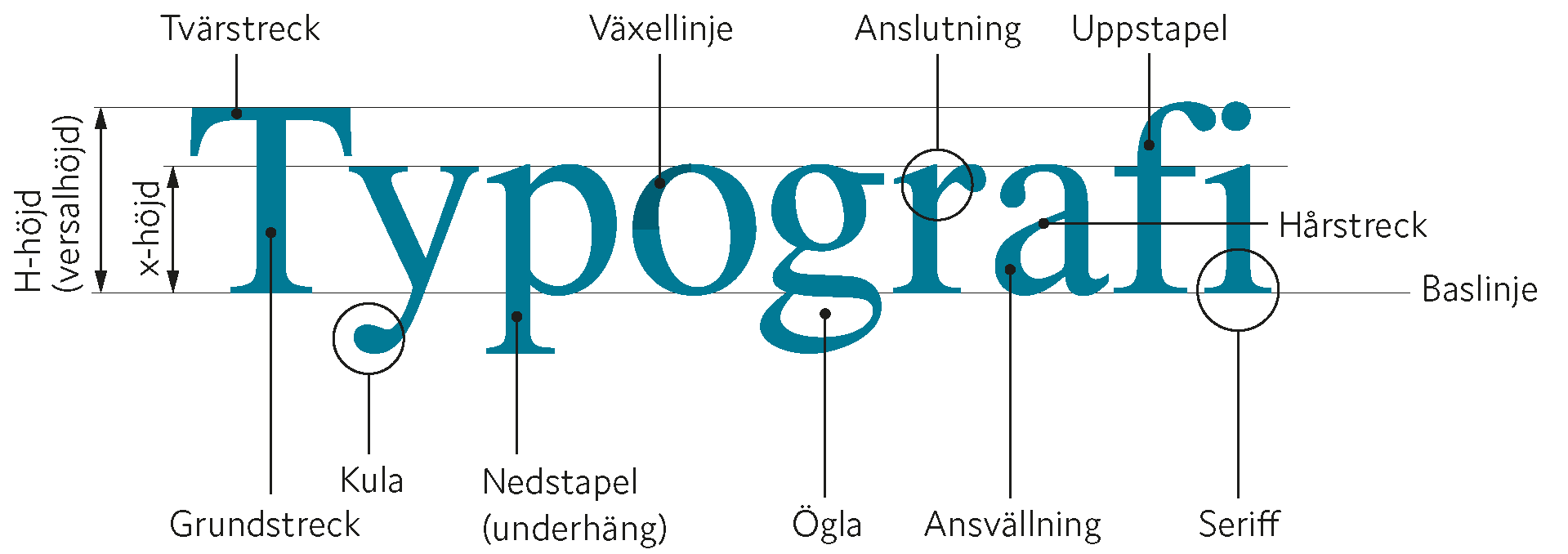 grafisk_design_didacta_typografi